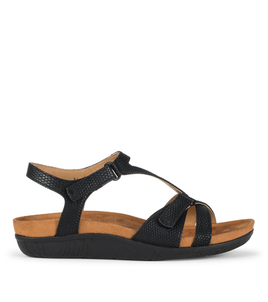 Jaxen - Black Lizard - Outside