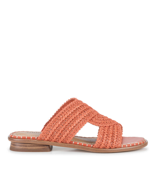 Navene - Orange Aid - Outside