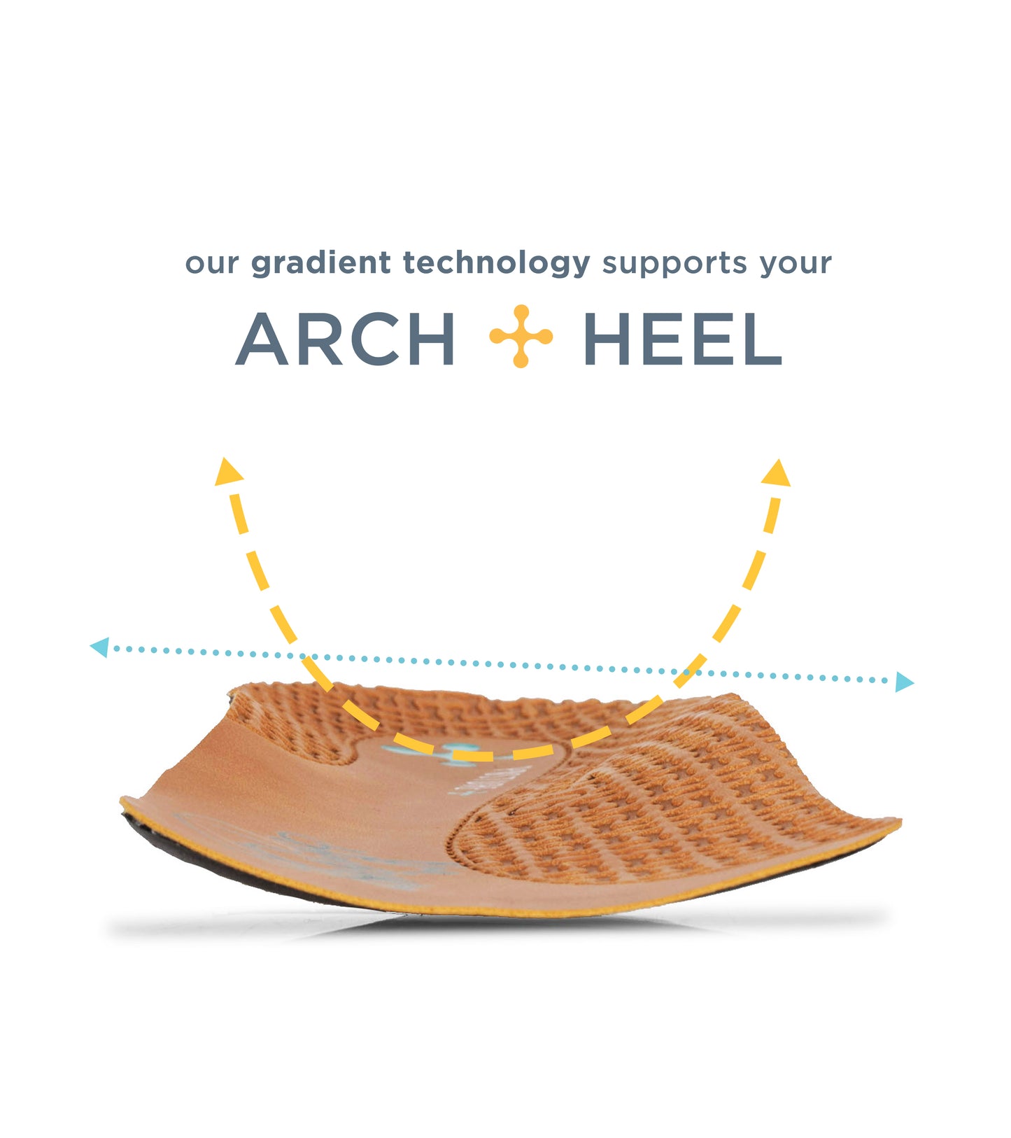 Insert - Blue - Top Down