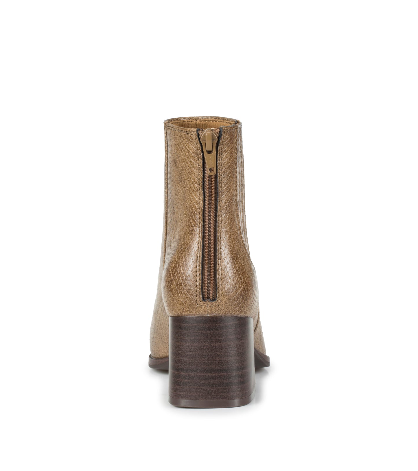Biana - Saddle - Back