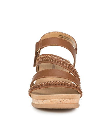 Facie - Dark Beechnut - Front