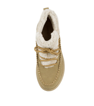 Faelyn - Whiskey - Top Down