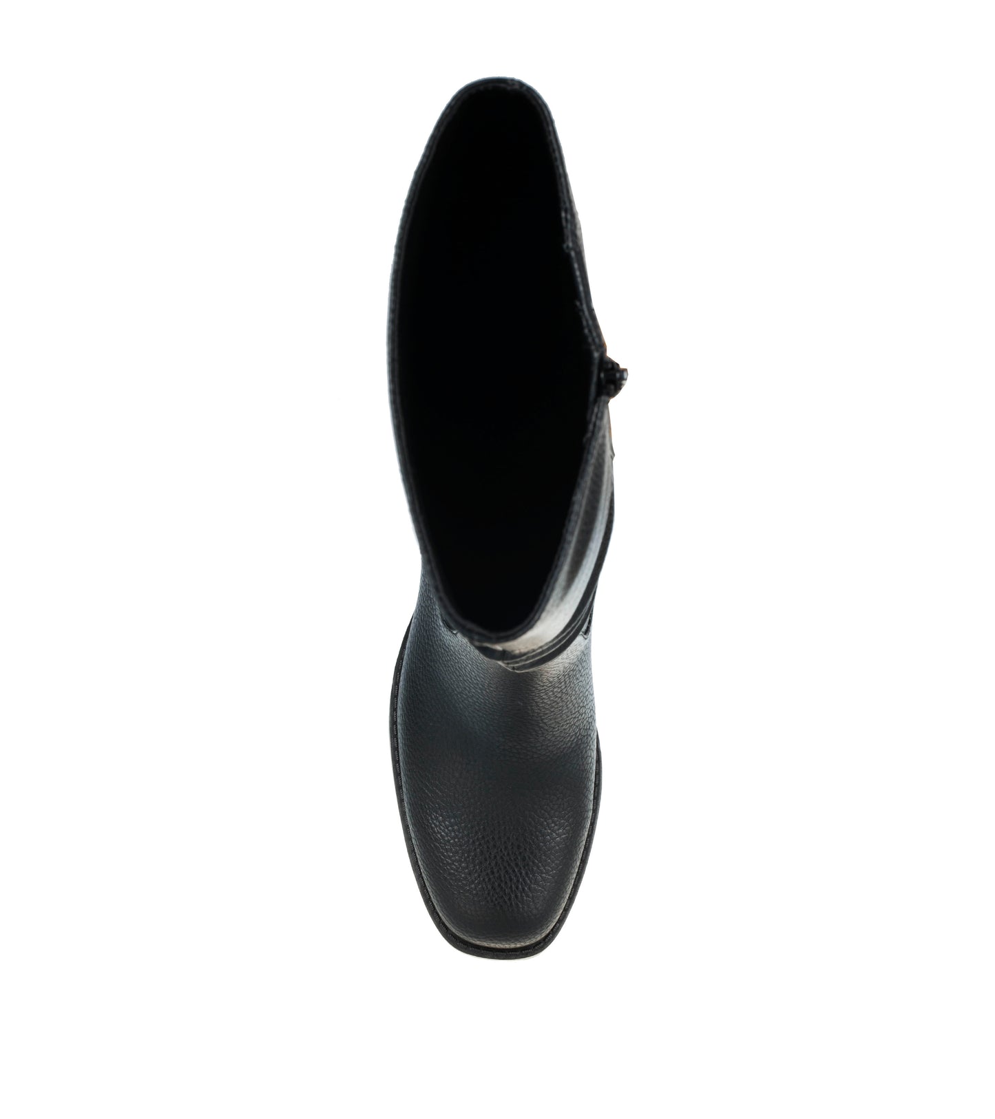 Gingee - Black - Top Down