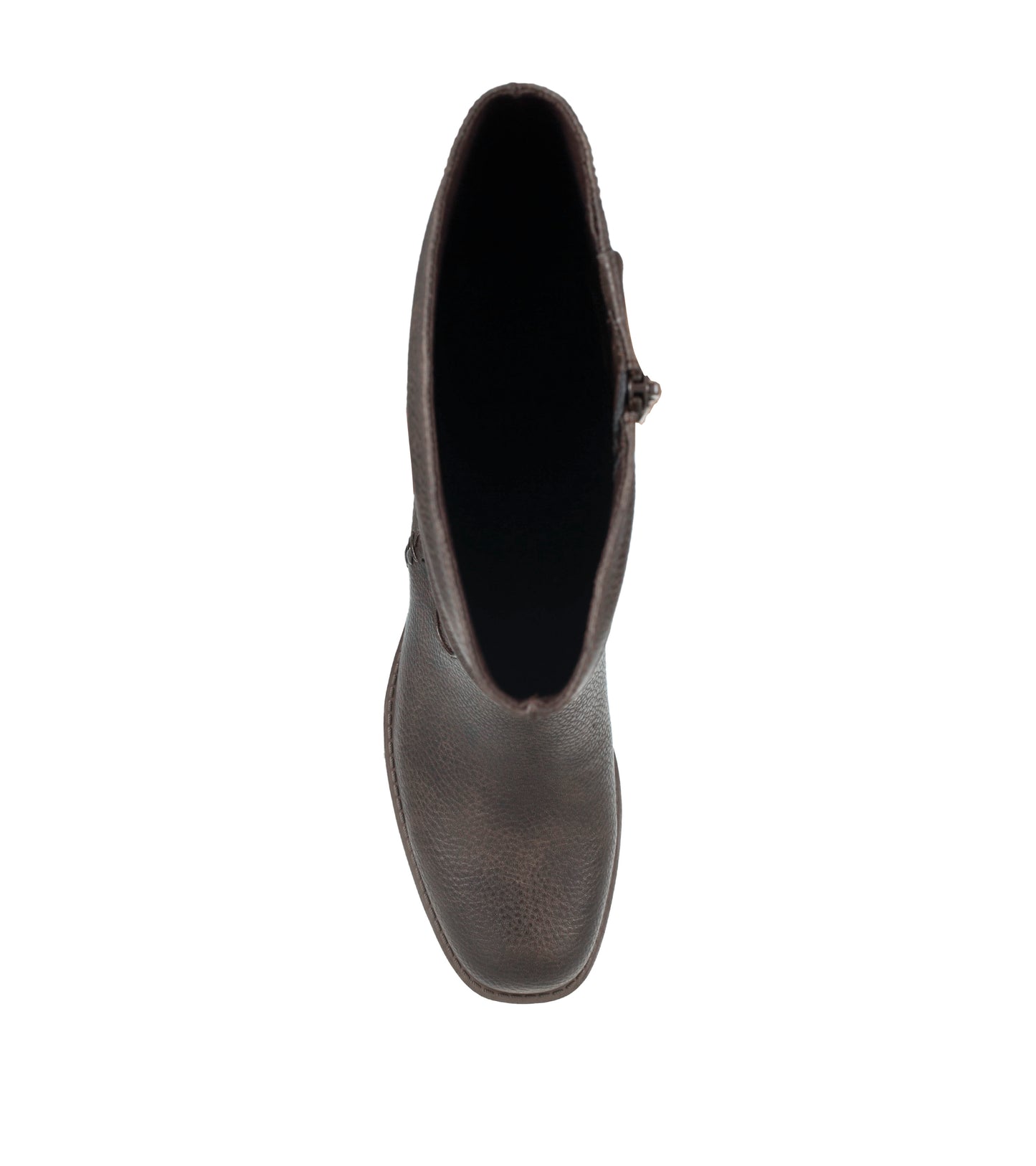 Gingee - Dark Brown - Top Down