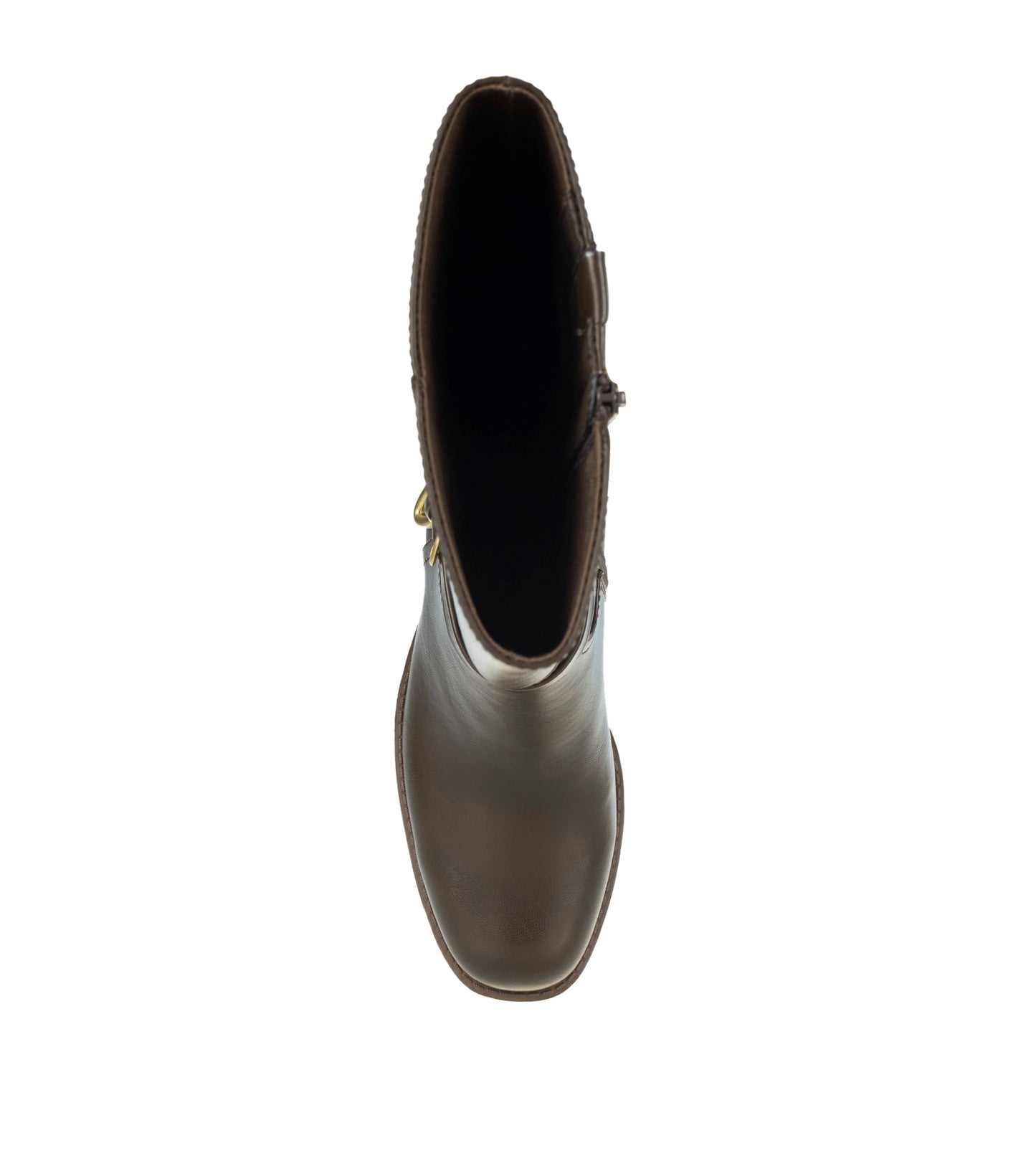 Glenette - Dark Brown - Top Down