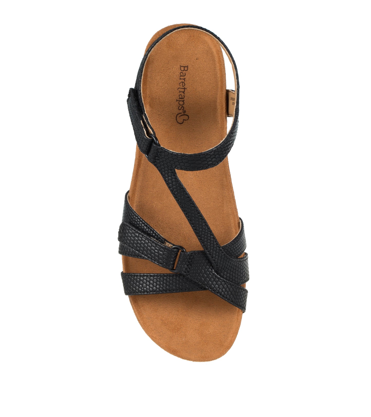 Jaxen - Black Lizard - Top Down