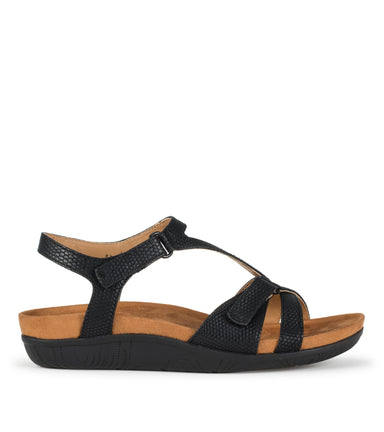 Jaxen - Black Lizard - Outside