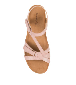 Jaxen - Rose - Top Down