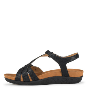 Jaxen - Black Lizard - Inside