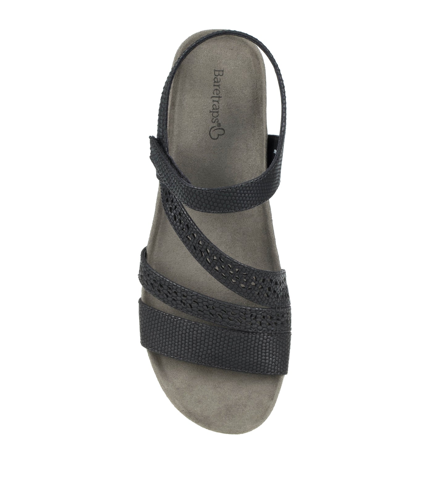 Jinna - Black Lizard - Top Down