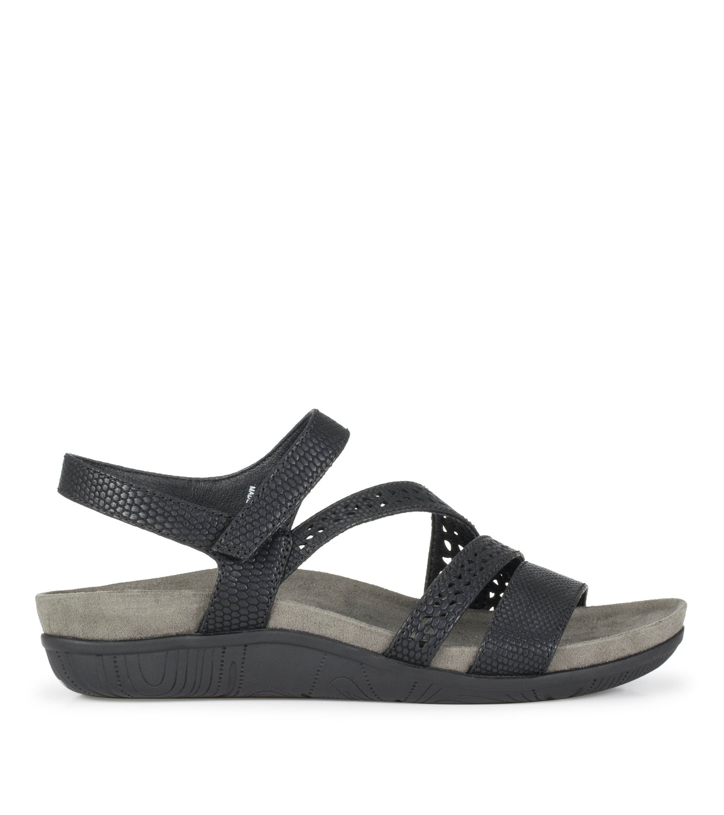 Jinna - Black Lizard - Outside