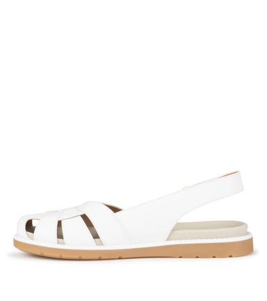 Morella - White - Inside