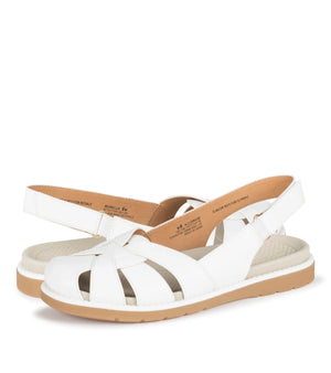 Morella - White - Hero Pair