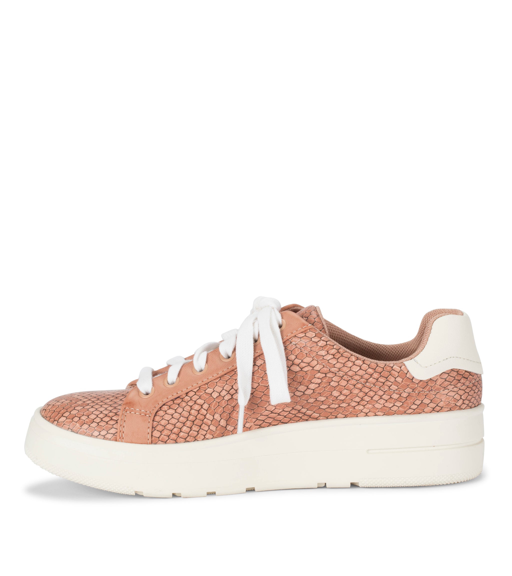 Nishelle Lace Up Sneaker - Soft Pink Snake | Baretraps