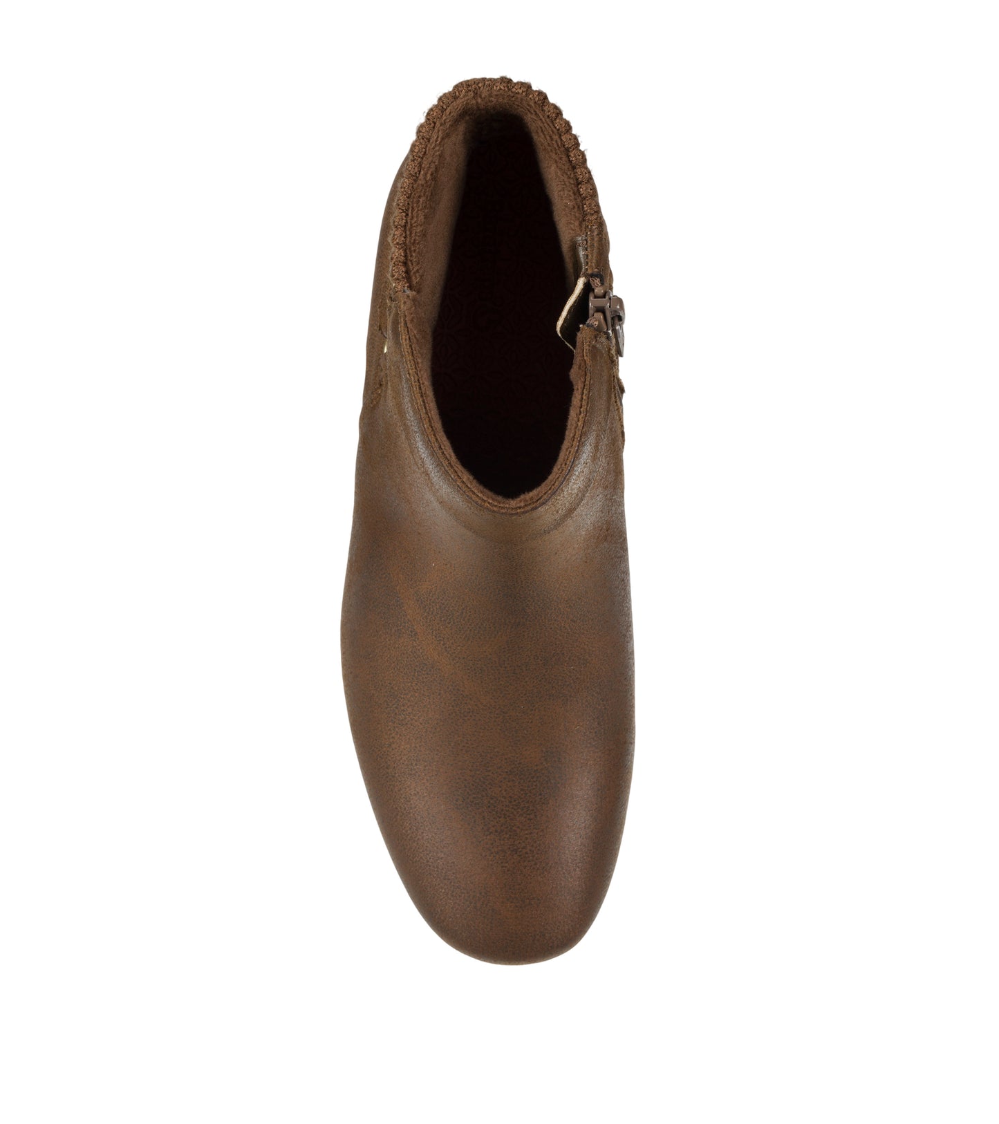 Payten - Brush Brown - Top Down